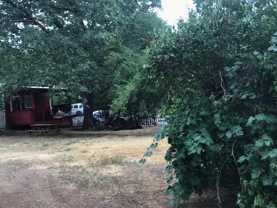 Cozy, Cheerful & Charming Cabin - Historic Julian Exterior foto